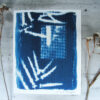 Clair obscur (Chiaroscuro) - cyanotype - Image 2
