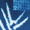Clair obscur (Chiaroscuro) - cyanotype - Image 3