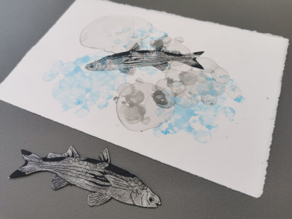 Tetra®print- Dates on request