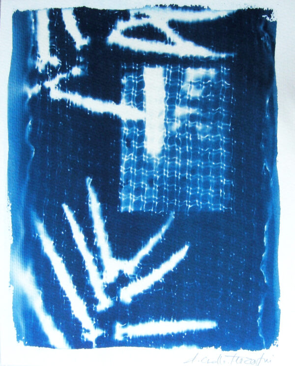 Clair obscur (Chiaroscuro) - cyanotype