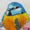 Mésange bleue (Blue chickadee) - Image 3