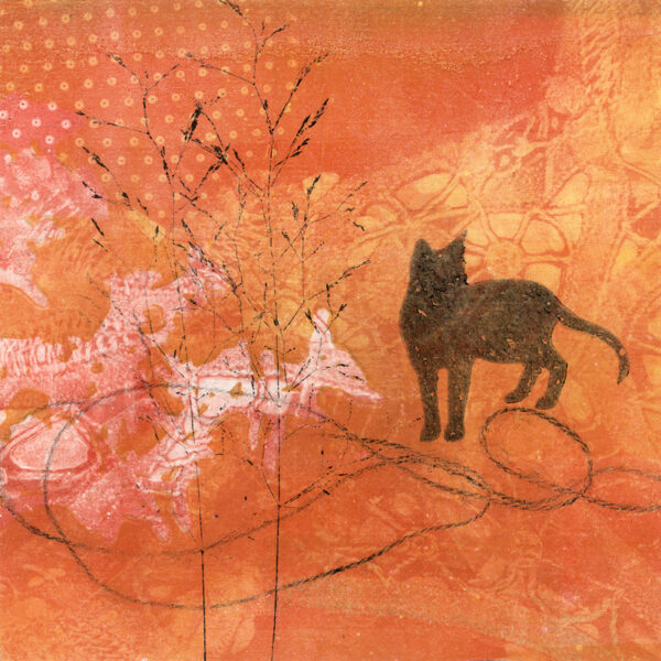 Kitty cat