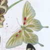Été indien – Image 5
