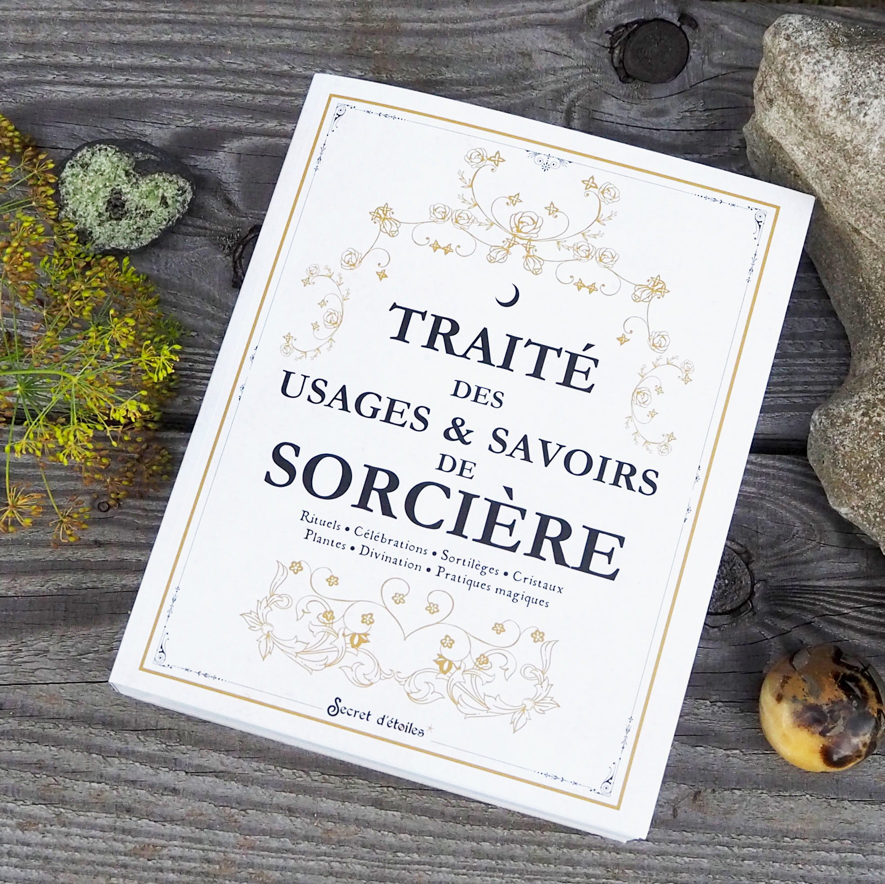 4-Traite_de_usages&savoirs_de_sorciere