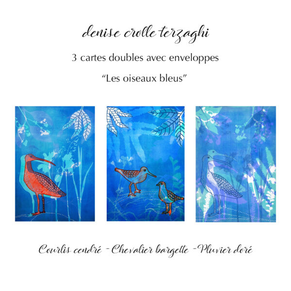 3 cartes doubles assorties avec enveloppes - Les oiseaux bleus