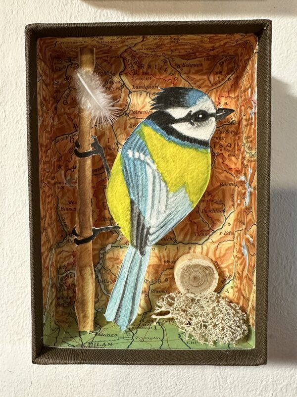In the forest : the blue chickadee