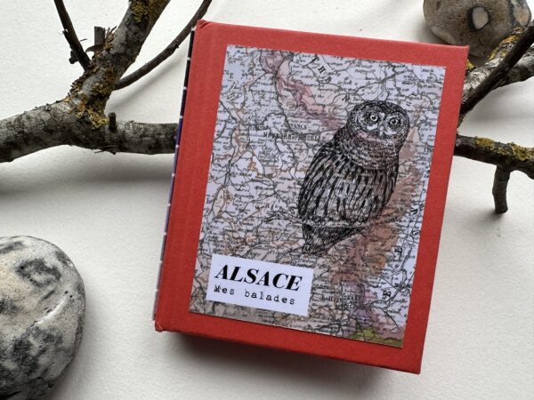Alsace, my walks - the owl