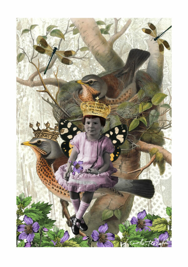 Mon oiseau, roi des bois (My bird, king of the woods)
