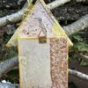 La petite maison du moineau (The sparrow's little home) - Image 5
