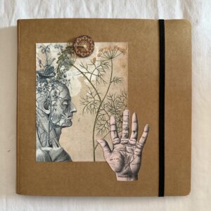 Watercolor sketchbook - Anatomy - 2